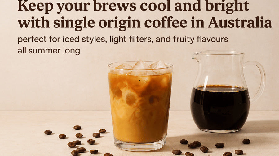 Carlini Coffee light coffee brews for summer 2026