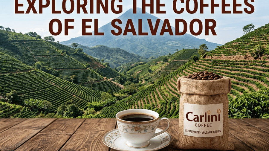 Why El Salvador Coffee Beans Are Turning Heads in Autumn