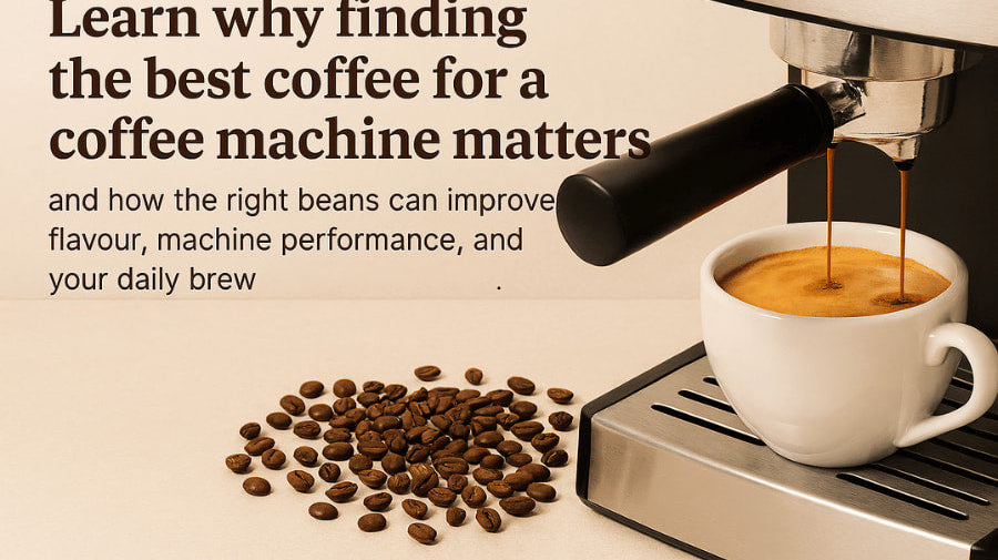 Carlini Coffee explains how to choose the best coffee beans for your machine in January 2026