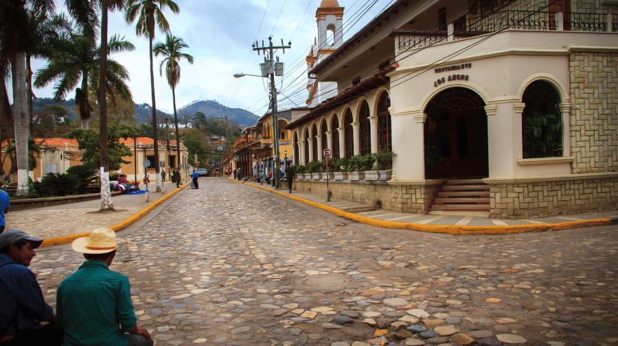 Carlini Coffee has delicious tasting Honduras coffee beans