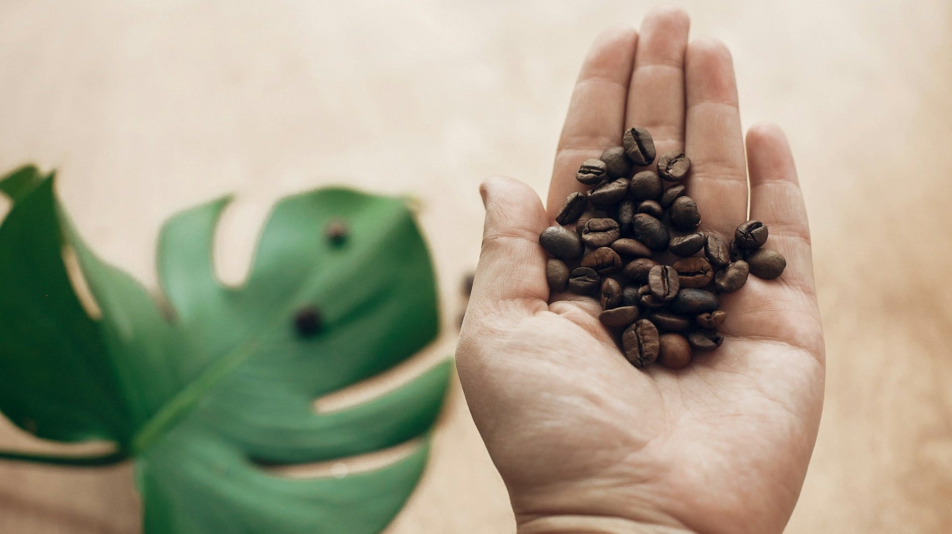 El Salvador Beans