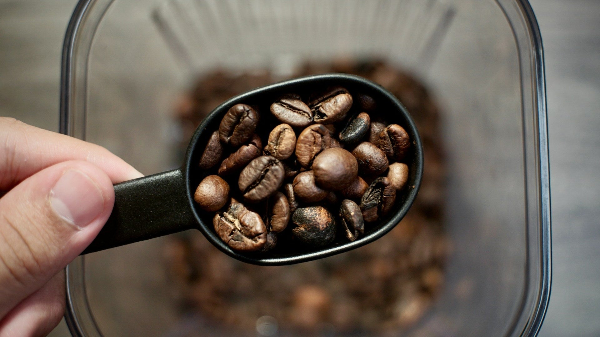 Bean in a Filter Coffee Machine