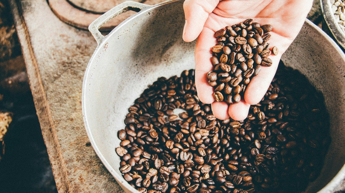 How to Choose the Right Coffee for Your Coffee Machine