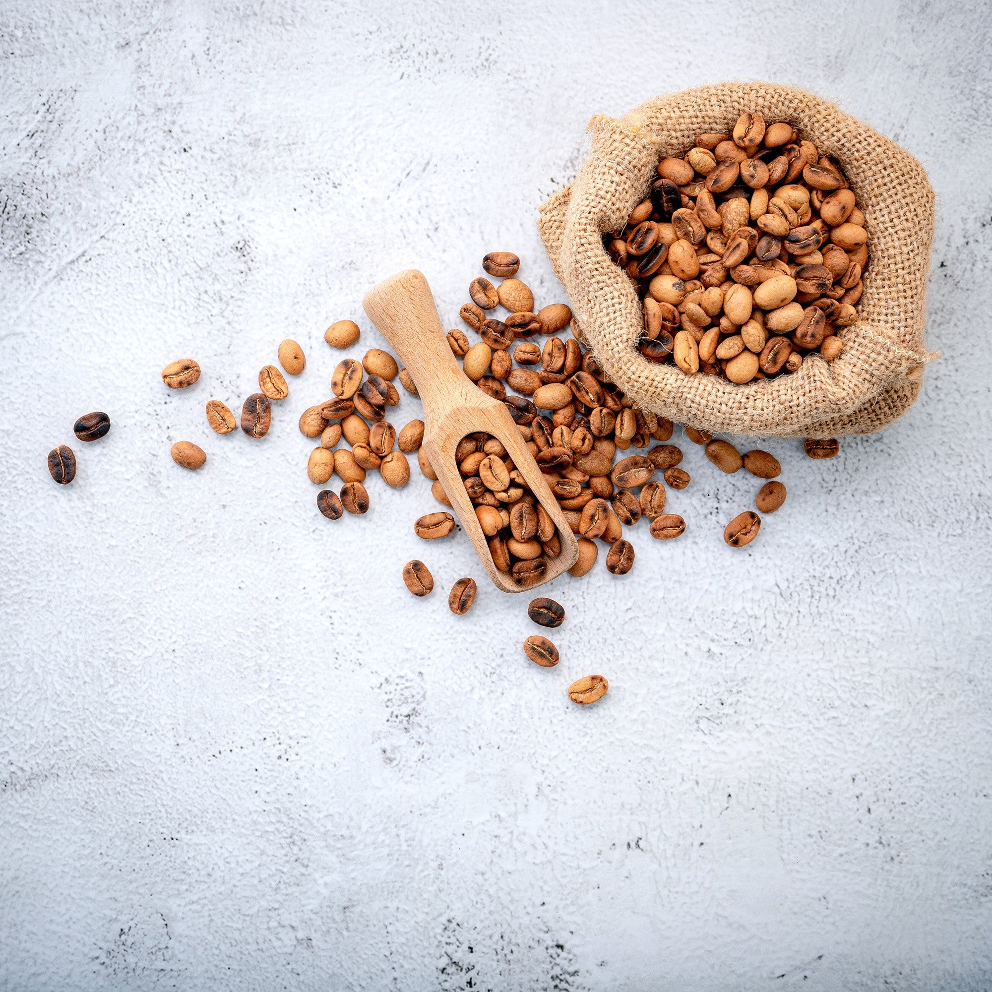 Carlini Coffee crafts precision roasted filter style coffees that are perfectly balanced and super sweet.