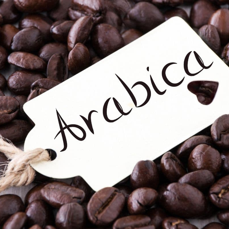 High quality specialty grade arabica coffees from Carlini Coffee