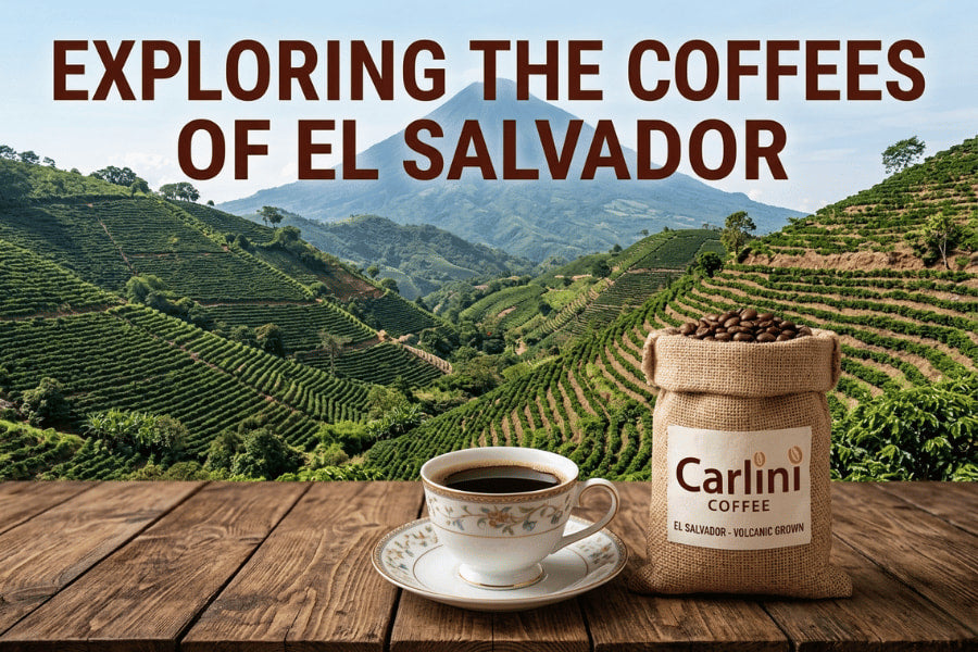 Why El Salvador Coffee Beans Are Turning Heads in Autumn