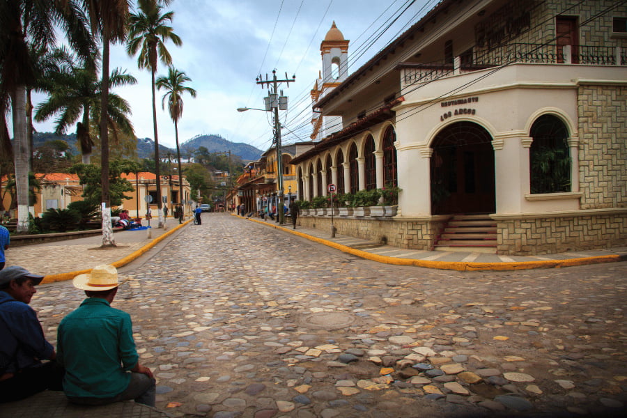 Carlini Coffee has delicious tasting Honduras coffee beans