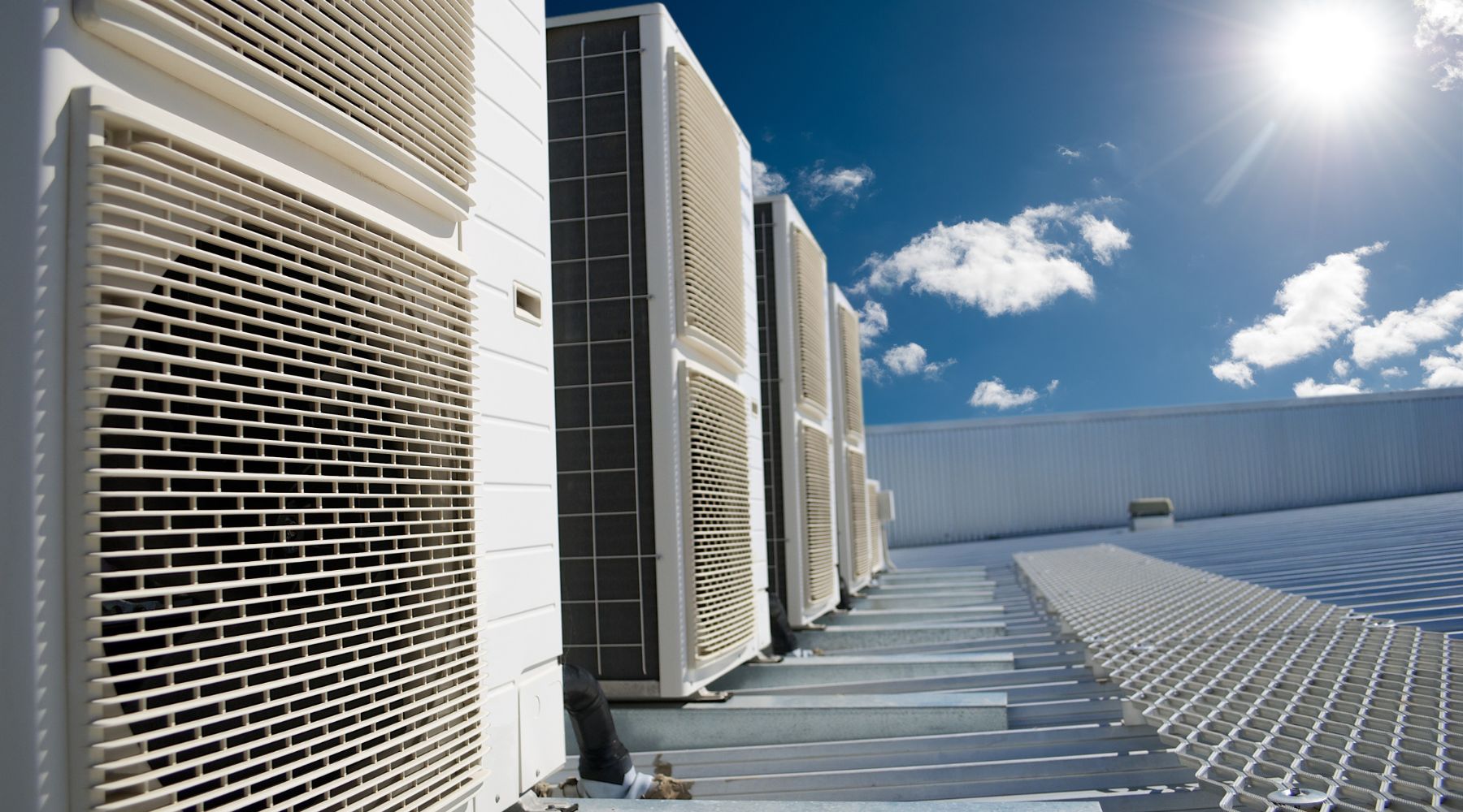 Carlini Coffee operates a temperature controlled environment