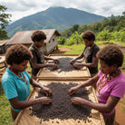 Since 2007 Carlini Coffee has been roasting the best tasting Papua New Guinea coffees available in Australia.
