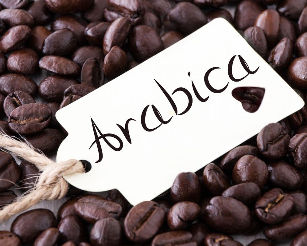 High quality specialty grade arabica coffees from Carlini Coffee