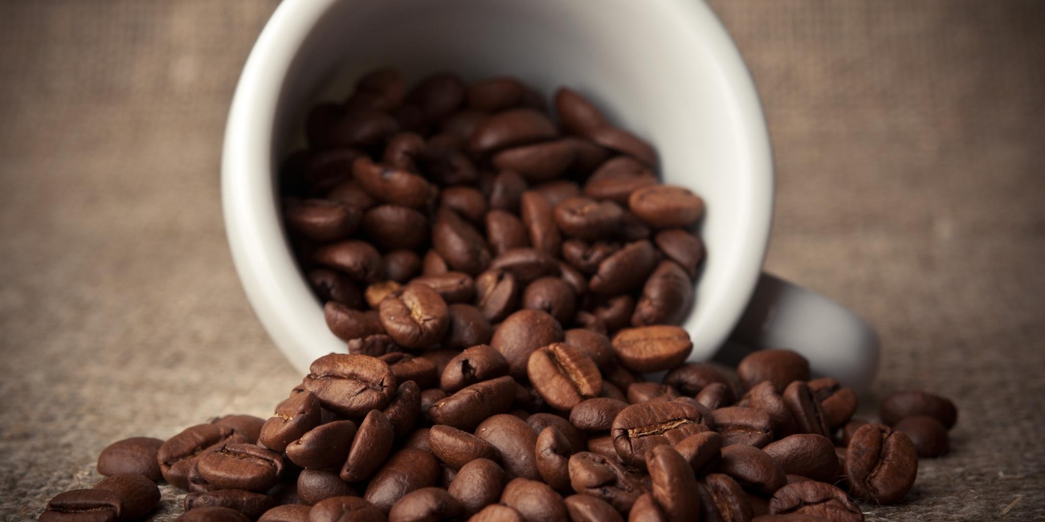 Carlini Coffee offers premium quality fresh roasted coffees shipped directly to your door